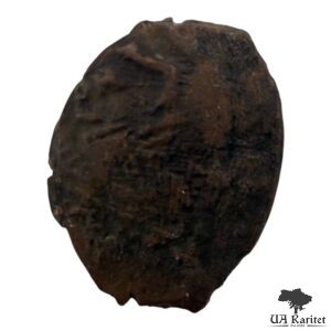 Копійка-чешуйка 1660-1710 років, час Олексія Михайловича – Петра I.